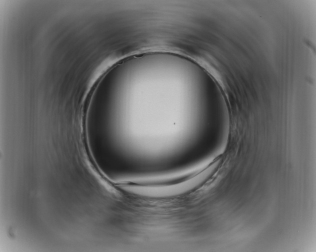 X0000099231005200805011133