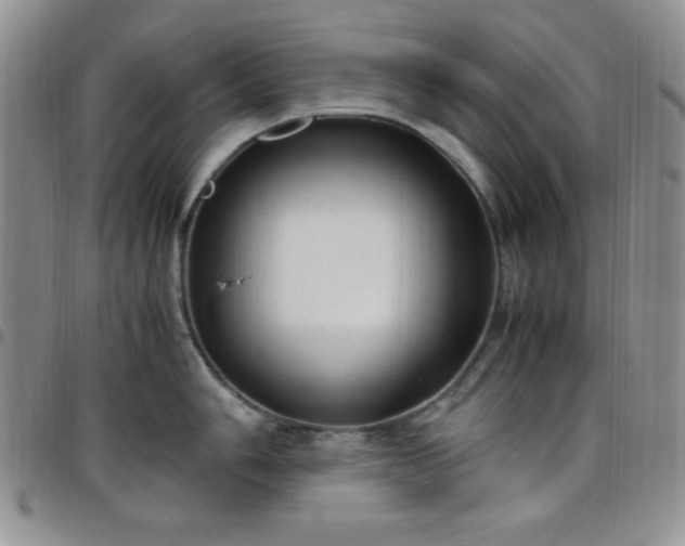 X0000099231006200805011133