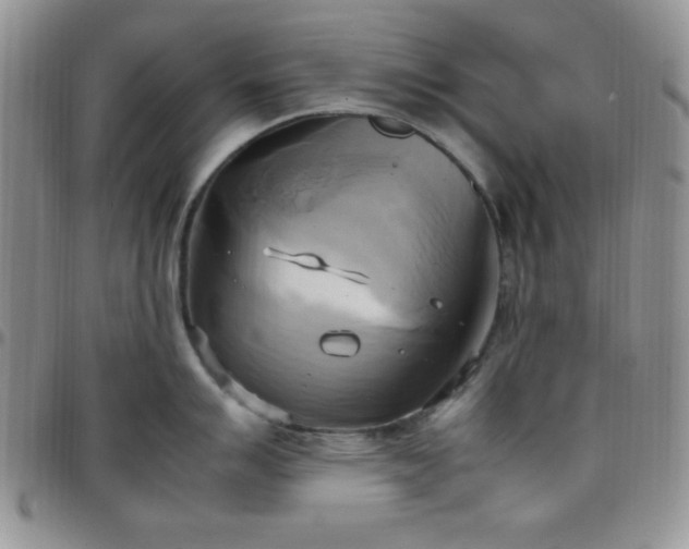 X0000099231007200805011133