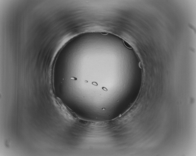 X0000099231008200805011133