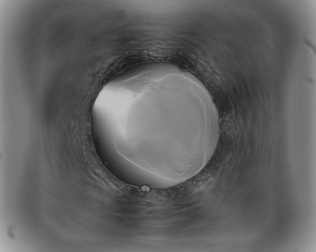 X0000099231009200805011132