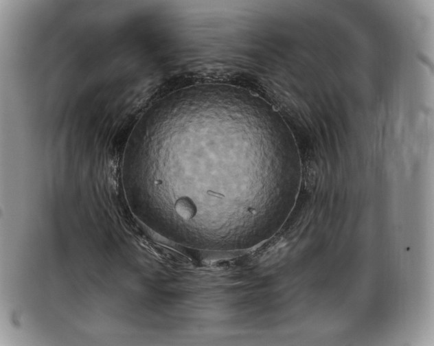 X0000099231010200805011132