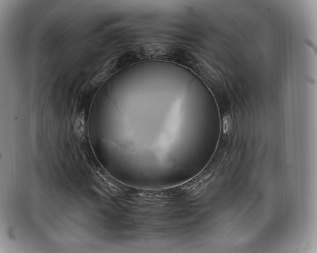 X0000099231011200805011132