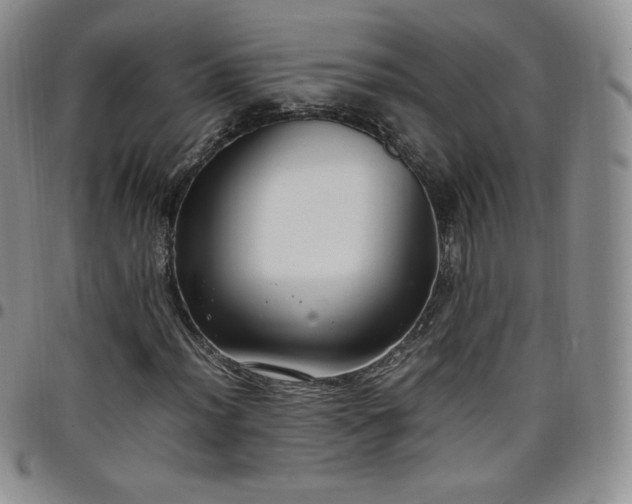 X0000099231012200805011132