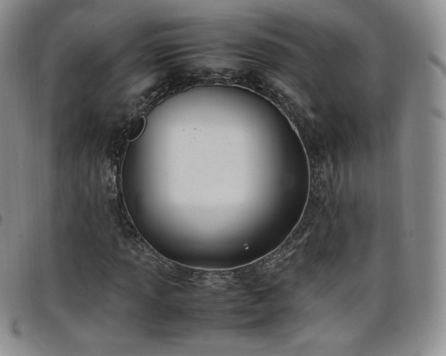 X0000099231013200805011132