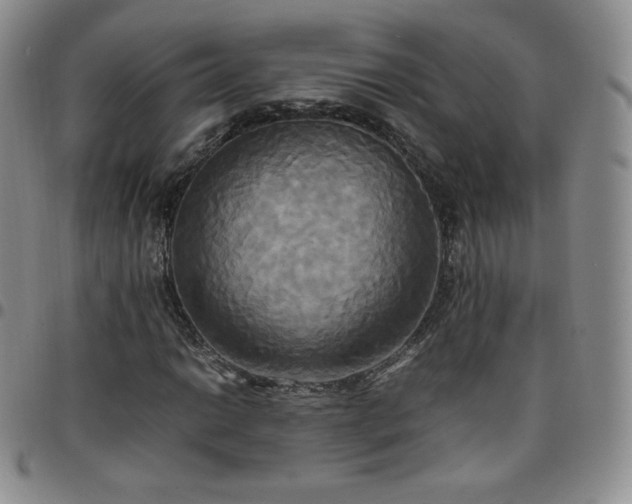 X0000099231014200805011132