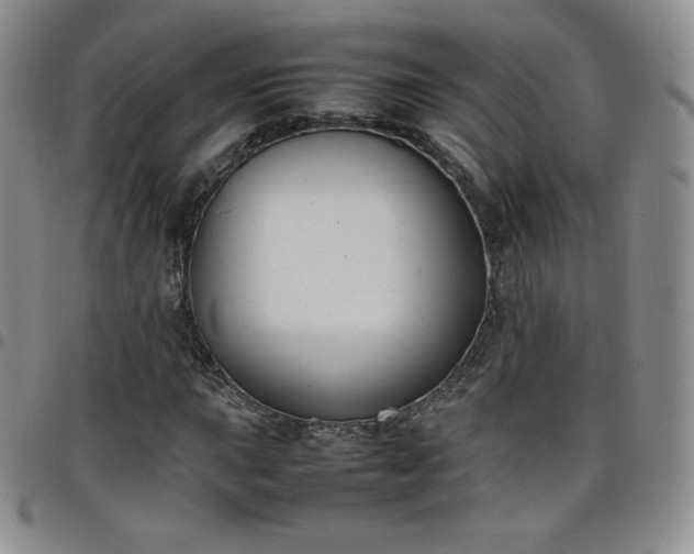 X0000099231015200805011132