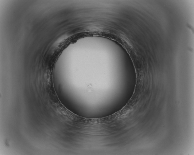 X0000099231016200805011132