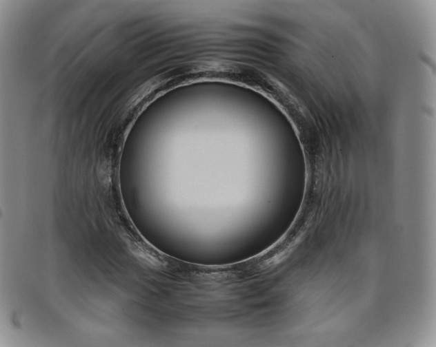 X0000099231017200805011132