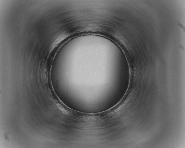 X0000099231018200805011132