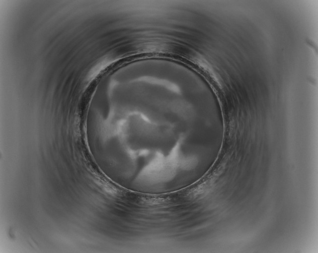 X0000099231019200805011132