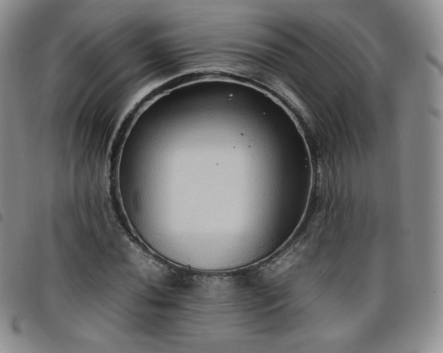 X0000099231020200805011132