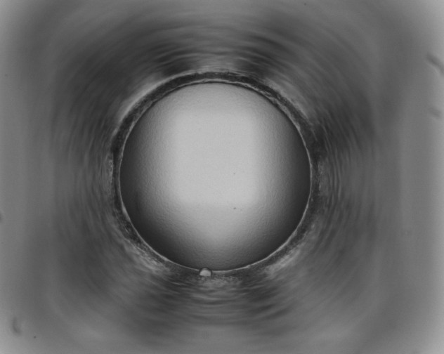 X0000099231021200805011132