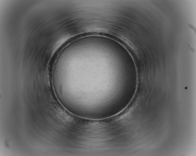 X0000099231022200805011132