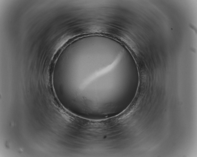 X0000099231023200805011132