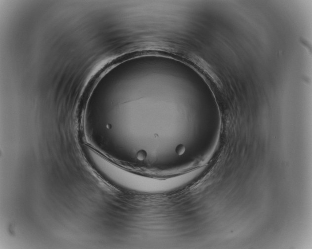 X0000099231024200805011132