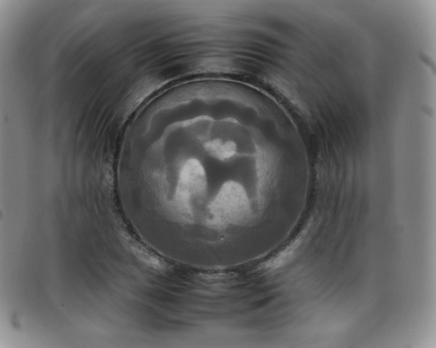 X0000099231025200805011132