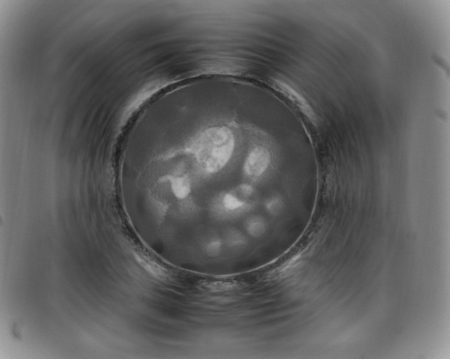 X0000099231027200805011132