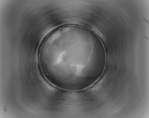 X0000099231028200805011132