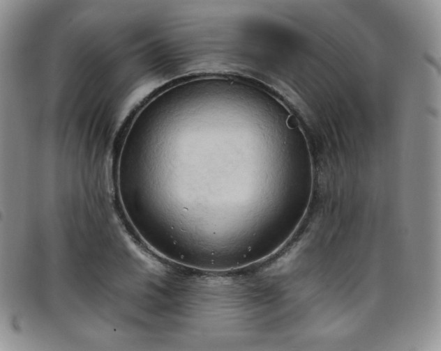 X0000099231030200805011132