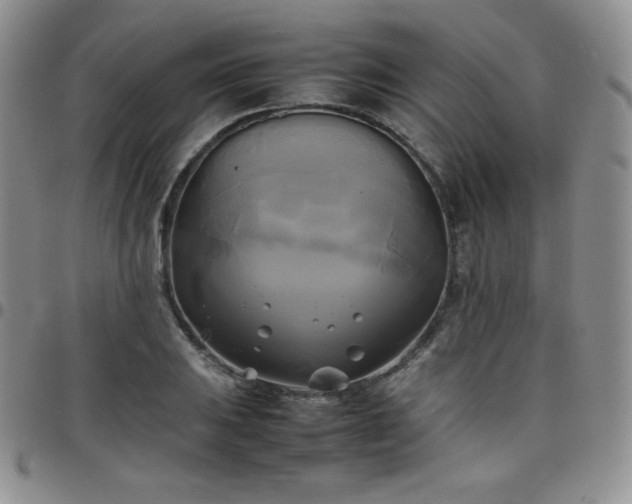 X0000099231031200805011132