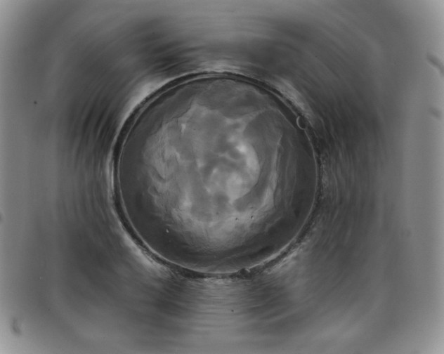 X0000099231032200805011132