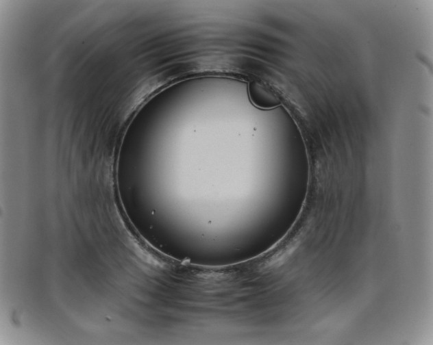 X0000099231033200805011132