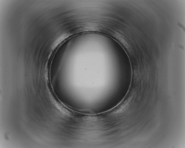 X0000099231034200805011132