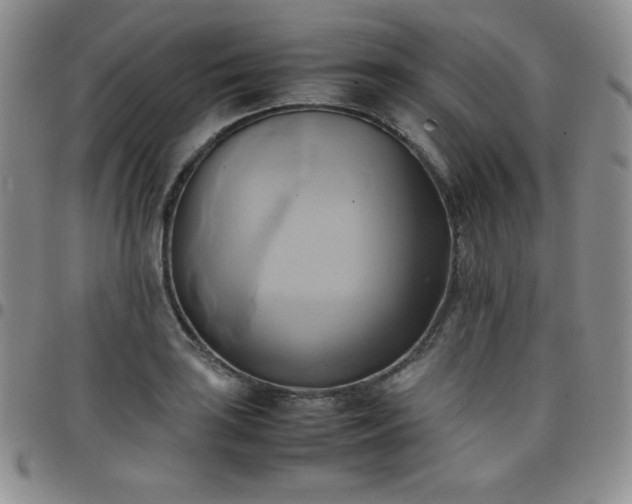 X0000099231035200805011132