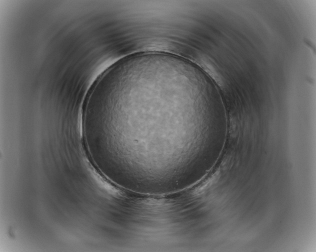 X0000099231036200805011132