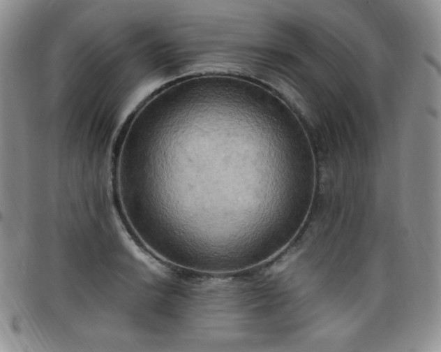 X0000099231038200805011132