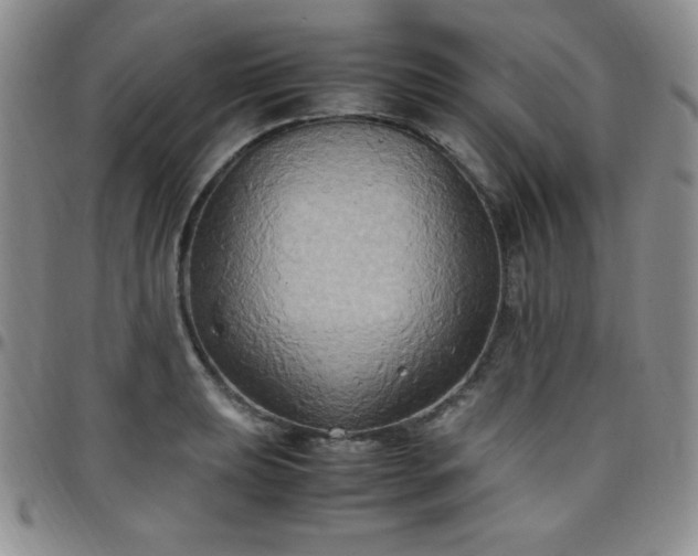 X0000099231039200805011132