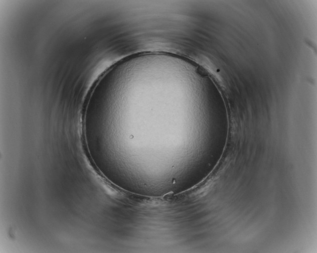 X0000099231040200805011132