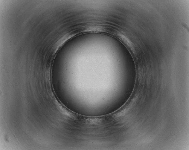 X0000099231041200805011132