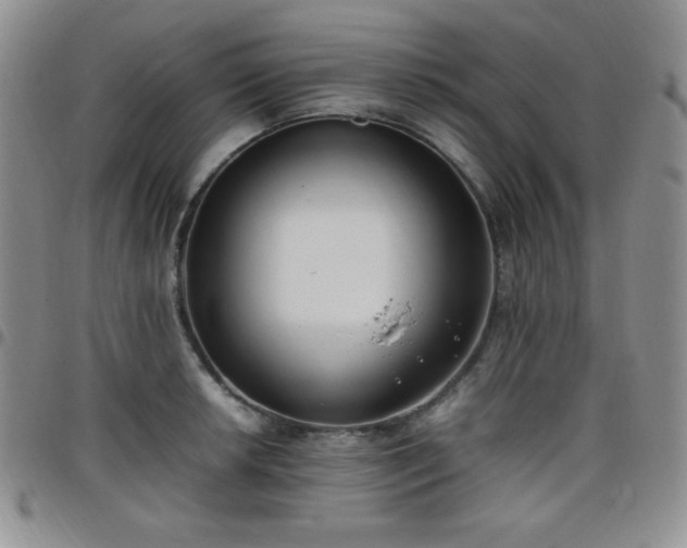 X0000099231042200805011132