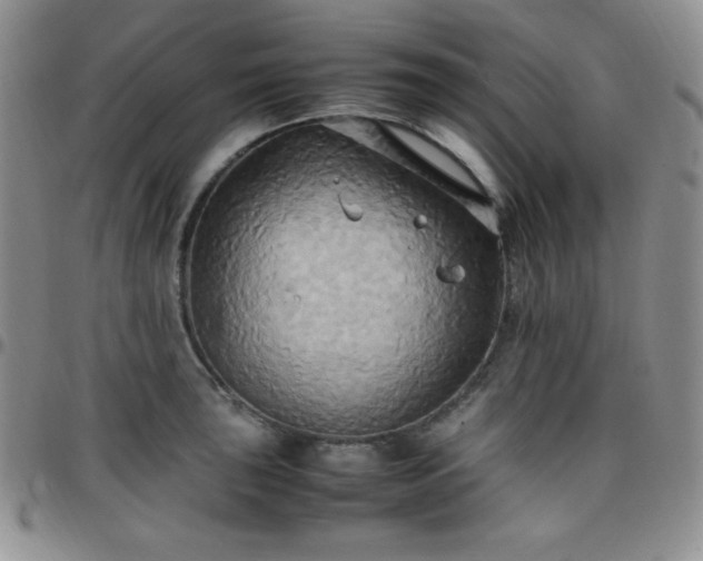 X0000099231043200805011132