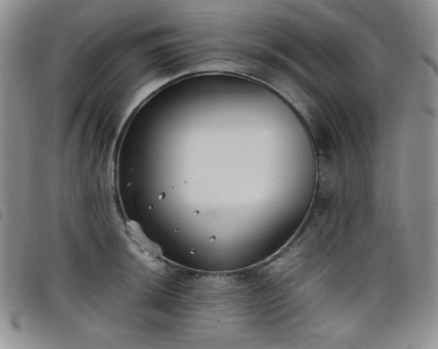 X0000099231044200805011132