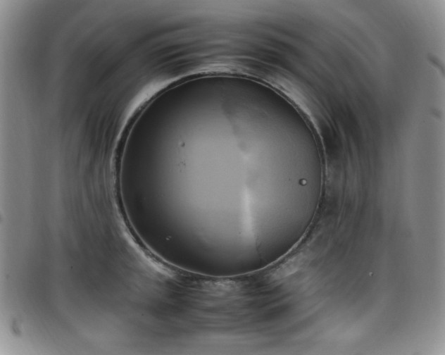 X0000099231045200805011132