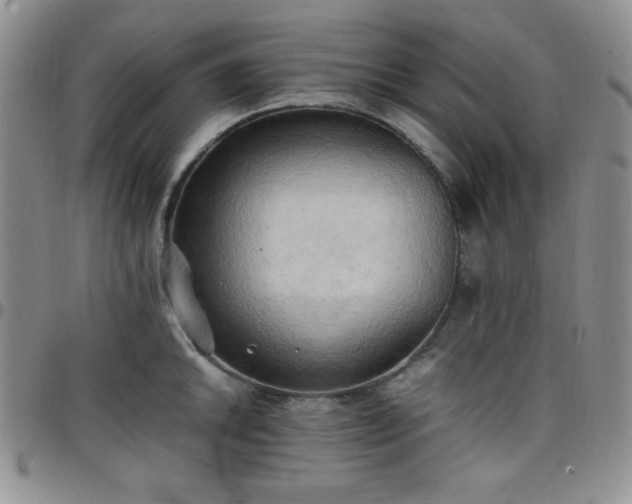 X0000099231046200805011132