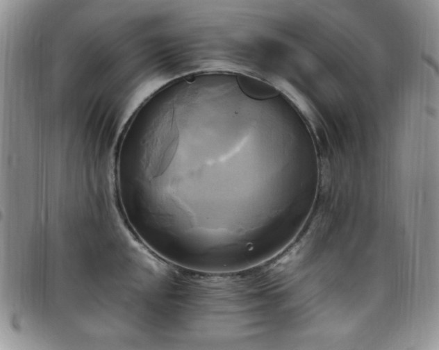 X0000099231048200805011132