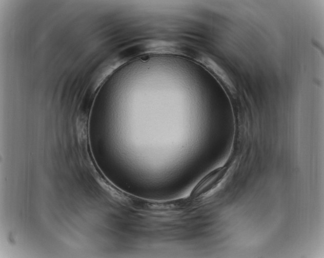 X0000099231049200805011132