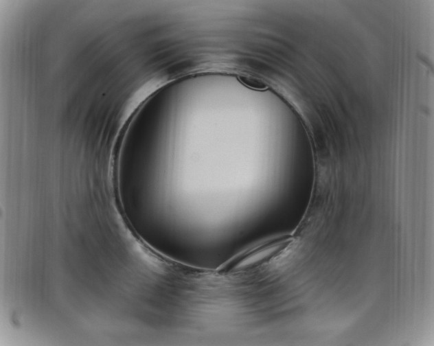 X0000099231050200805011132