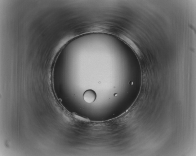 X0000099231051200805011132