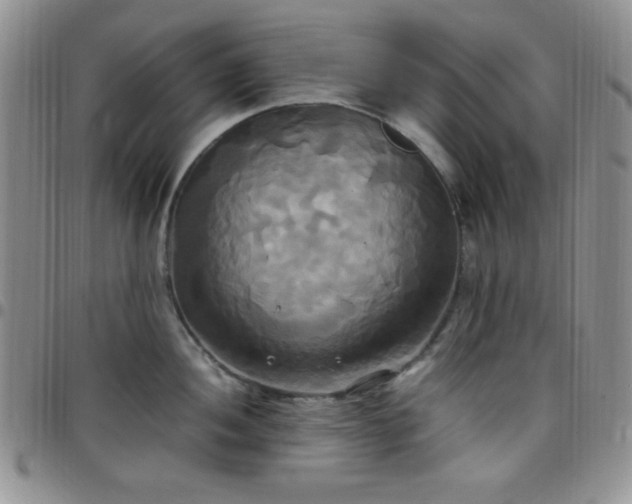 X0000099231052200805011132