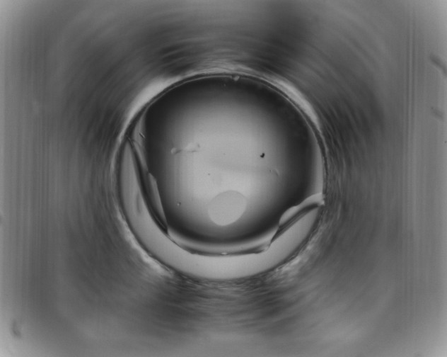 X0000099231053200805011132