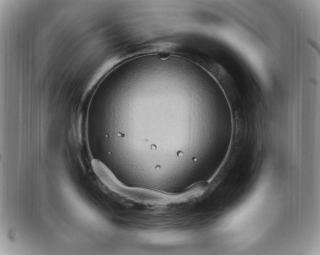 X0000099231054200805011132