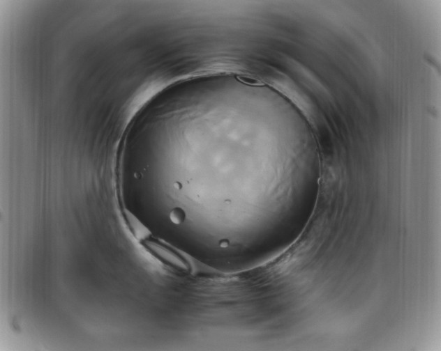 X0000099231055200805011133