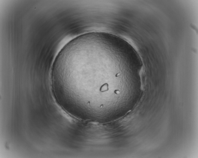 X0000099231056200805011133