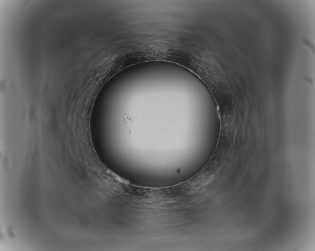 X0000099231057200805011132