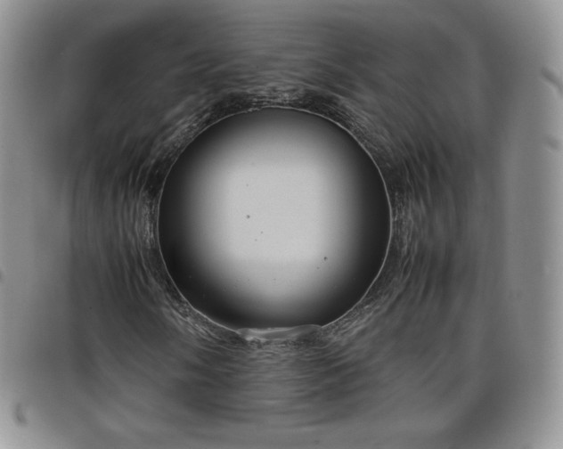 X0000099231058200805011132